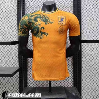 Giappone Maglia Calcio Edizione speciale Uomo 2024 TBB544