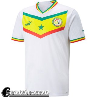 Maglie Calcio Senegal Seconda Uomo Coppa del Mondo 2022
