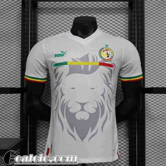 Maglia Calcio Senegal Edizione speciale Uomo 2023 TBB221