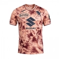 Maglie Calcio Torino Terza Uomo 24 25