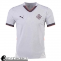 Maglie Calcio Iceland Seconda Uomo 2024