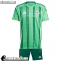 Maglie Calcio Northern Ireland Prima Bambini 2024