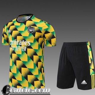 T-Shirt Arsenal giallo Uomo 2022 23 PL456