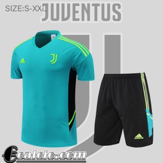 T-Shirt Juventus verde Uomo 2022 23 PL590