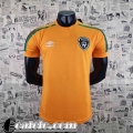 Maglie Calcio Coppa del Mondo Irlanda Arancia Uomo 2022 23 AG47