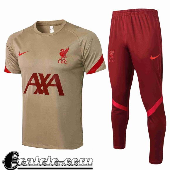 T-shirt Liverpool Uomo giallo 2021 2022 PL102
